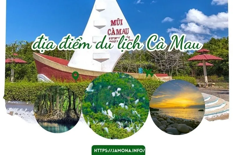 Khám Phá Những Địa Điểm Du Lịch Cà Mau Không Thể Bỏ Lỡ