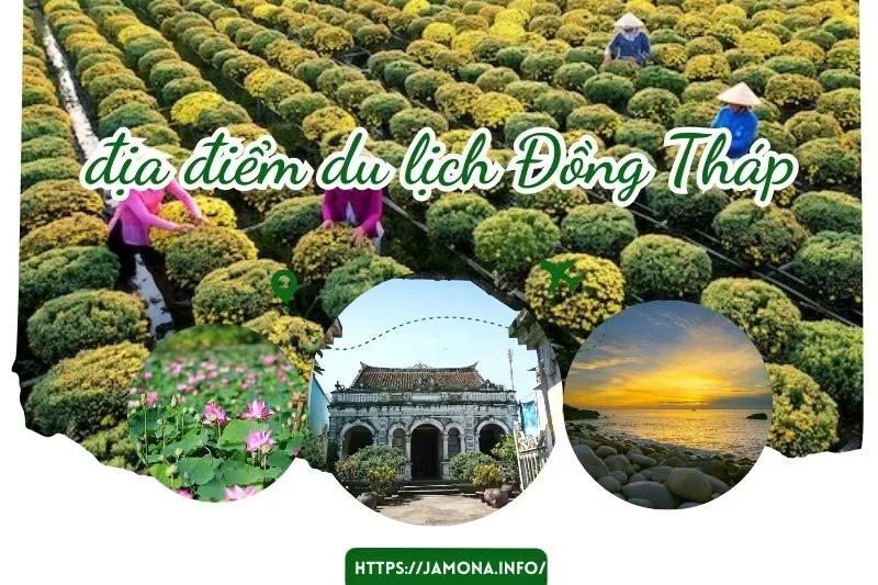 Khám Phá 22 địa điểm du lịch Đồng Tháp nổi tiếng mà bạn không thể bỏ lỡ