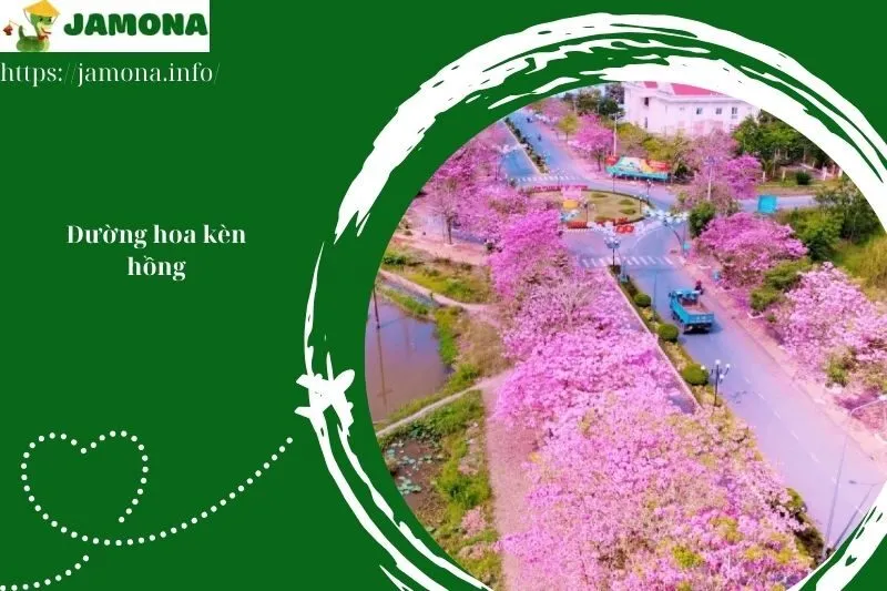 Đường hoa kèn hồng