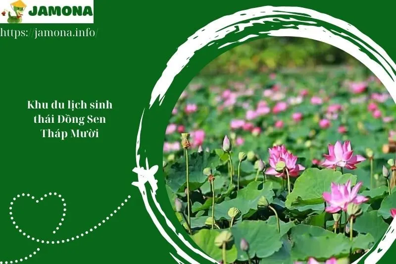 Khu du lịch sinh thái Đồng Sen Tháp Mười
