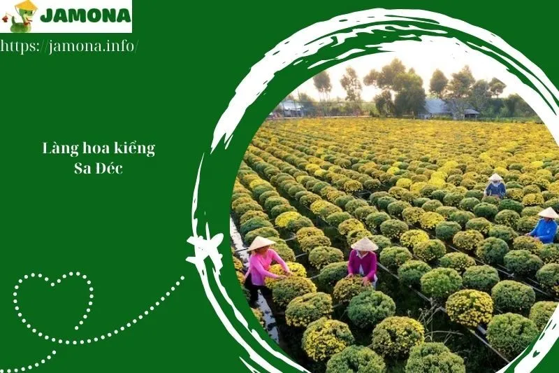 Làng hoa kiểng Sa Đéc