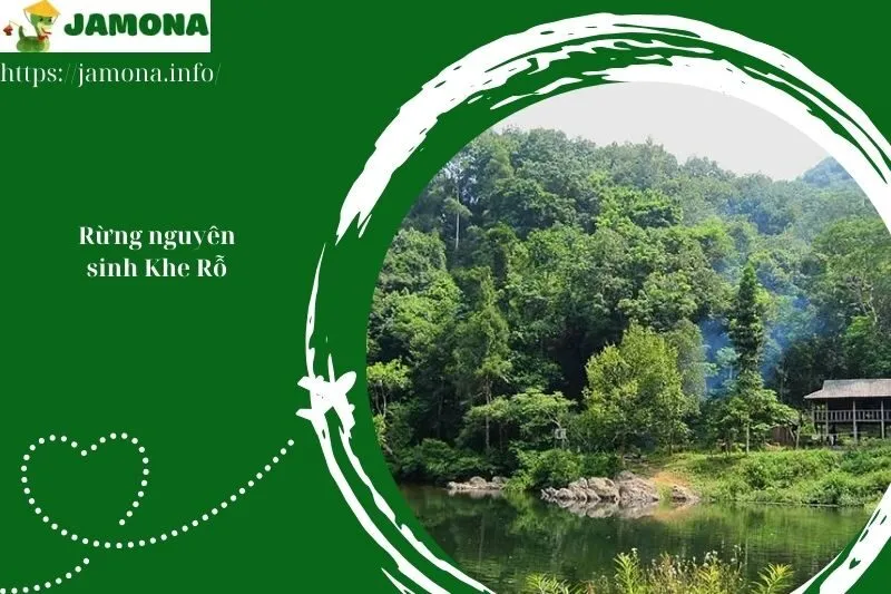 Rừng nguyên sinh Khe Rỗ