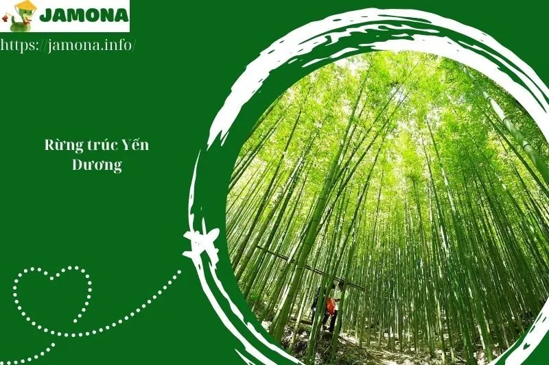 Rừng trúc Yến Dương