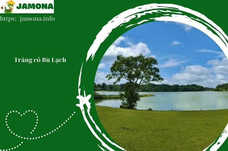 Trảng cỏ Bù Lạch