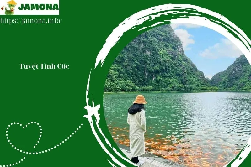 Tuyệt Tình Cốc