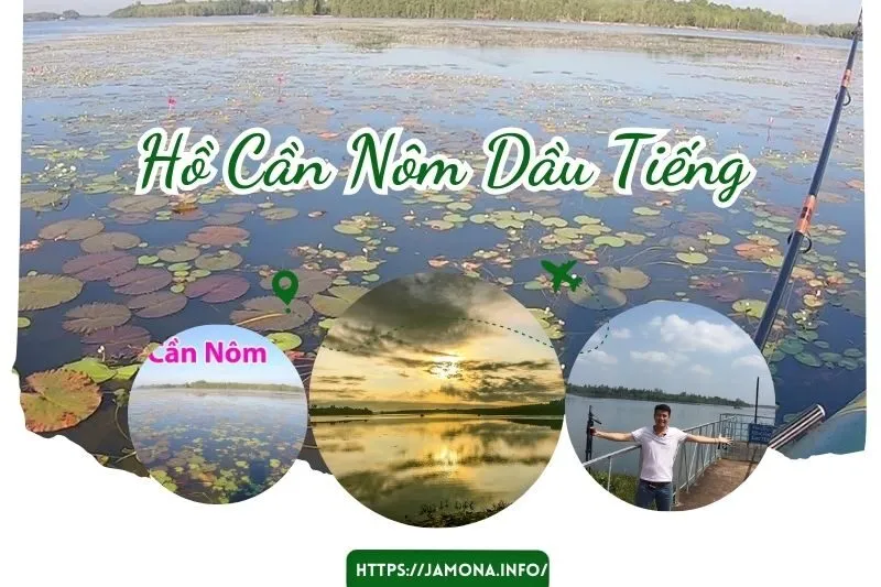 Hồ Cần Nôm Dầu Tiếng: Khám Phá Thiên Nhiên & Trải Nghiệm Thú Vị