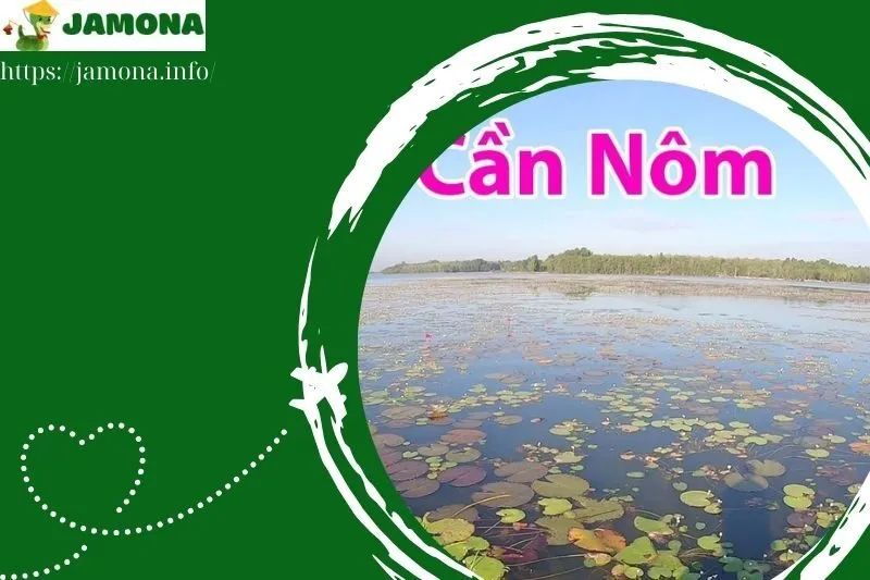 Hồ Cần Nôm Dầu Tiếng – Tiềm Năng Du Lịch Và Hướng Phát Triển