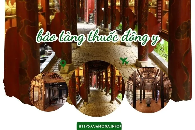Bảo tàng thuốc đông y