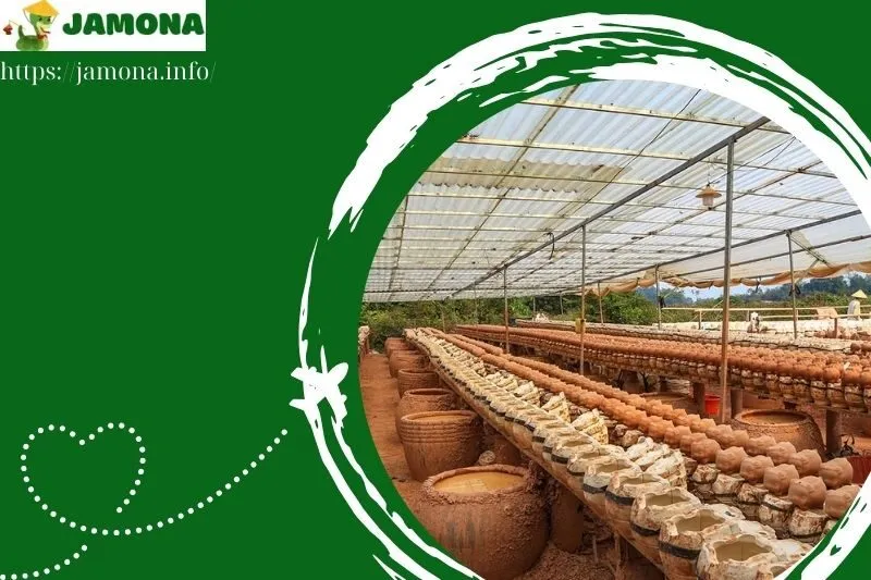 các sản phẩm đặc trưng của làng nghề