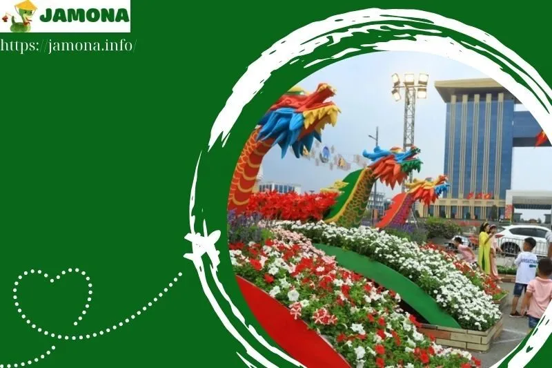 đường hoa bình dương 2025 ở đâu