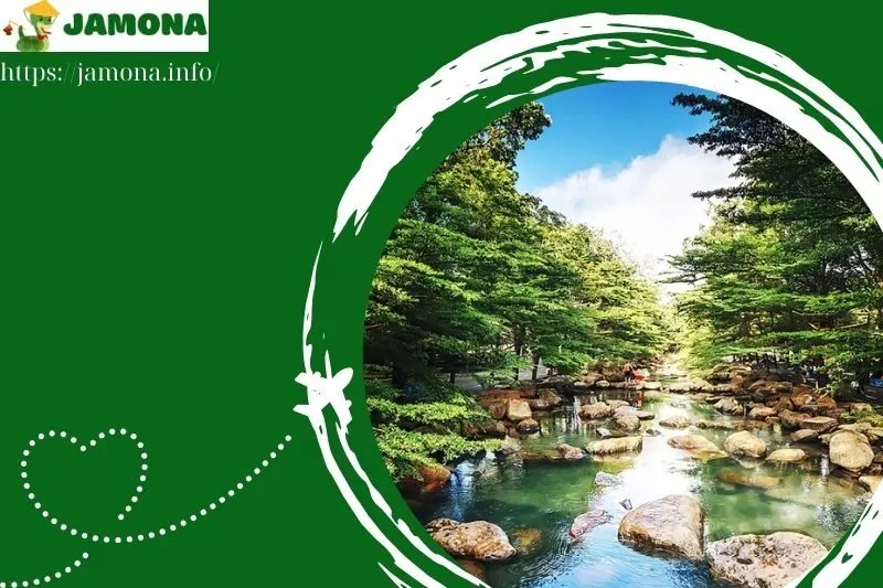 Hoạt động trải nghiệm thú vị tại khu du lịch Suối Tre