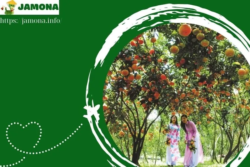 kinh nghiệm tham quan khu du lịch cầu ngang bình dương