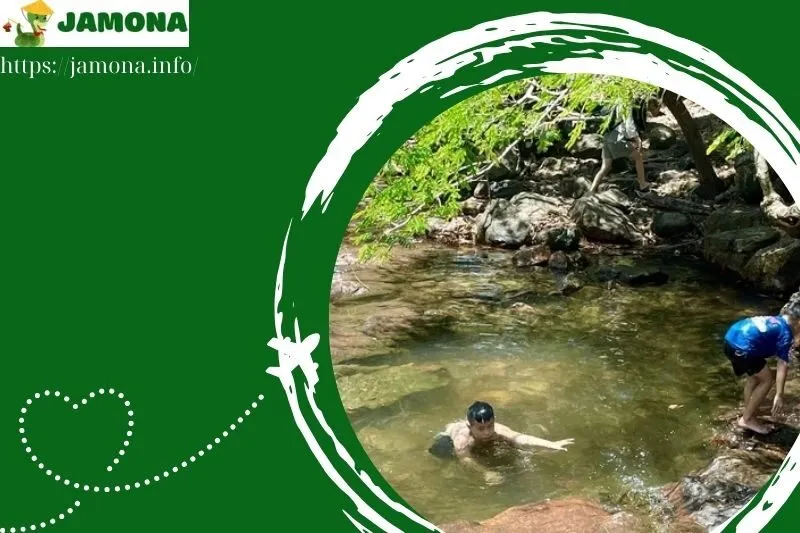 Lưu ý quan trọng khi đến Suối Tre Bình Dương