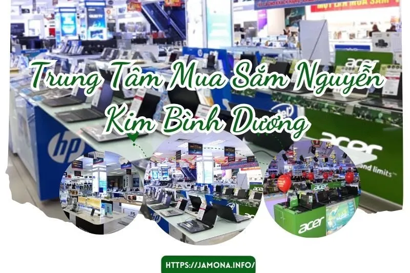 trung tâm mua sắm nguyễn kim bình dương