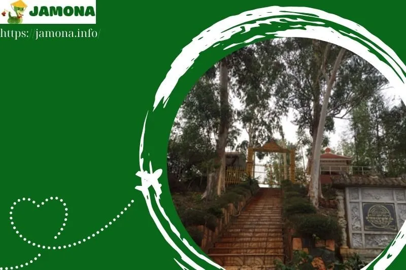 vai trò của Cù Lao Rùa trong nền văn hóa đồng nam bộ