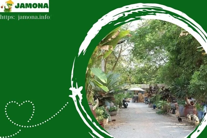 Vườn Nhà Gốm là gì